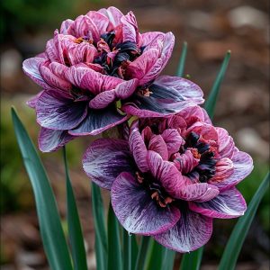 Нарцисс Моргатн Мотив купить по цене от 2000р. в интернет-магазине «Посадика» с доставкой почтой в в Аркадаке и по всей России – [изображение №1].