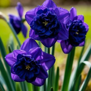 Нарцисс Арт Нуво купить по цене от 378р. в интернет-магазине «Посадика» с доставкой почтой в в Аркадаке и по всей России – [изображение №1].