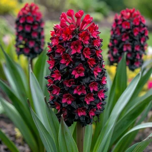 Гиацинт Джем Стоун купить по цене от 2099р. в интернет-магазине «Посадика» с доставкой почтой в в Аркадаке и по всей России – [изображение №1].