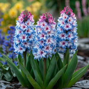 Гиацинт Пинк Мари купить по цене от 2099р. в интернет-магазине «Посадика» с доставкой почтой в в Аркадаке и по всей России – [изображение №1].