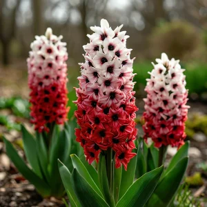 Гиацинт Скай Гарден купить по цене от 2099р. в интернет-магазине «Посадика» с доставкой почтой в в Аркадаке и по всей России – [изображение №1].